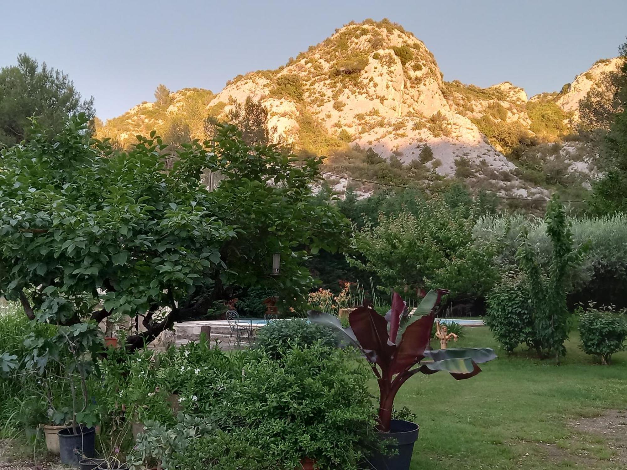 La Roulotte Du Petit Paradis Saint-Rémy-de-Provence Exterior photo