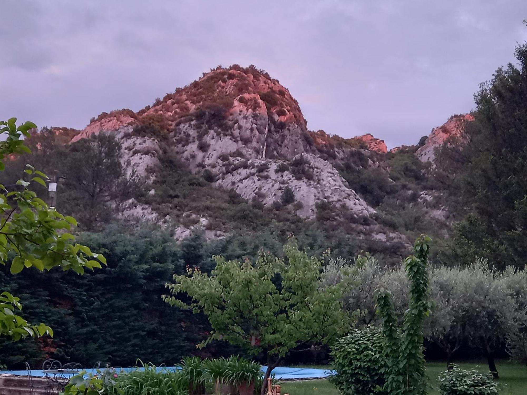 La Roulotte Du Petit Paradis Saint-Rémy-de-Provence Exterior photo