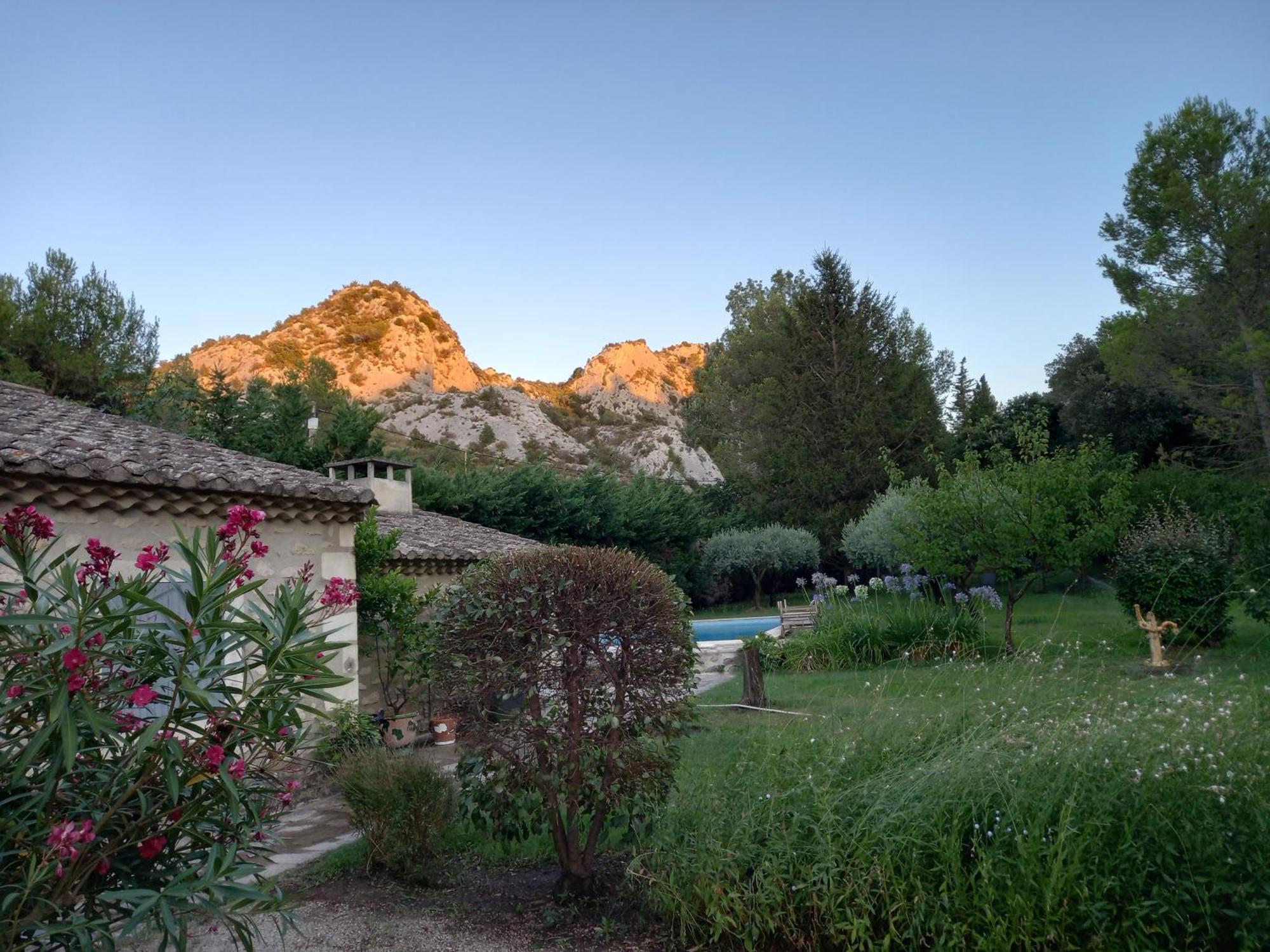 La Roulotte Du Petit Paradis Saint-Rémy-de-Provence Exterior photo