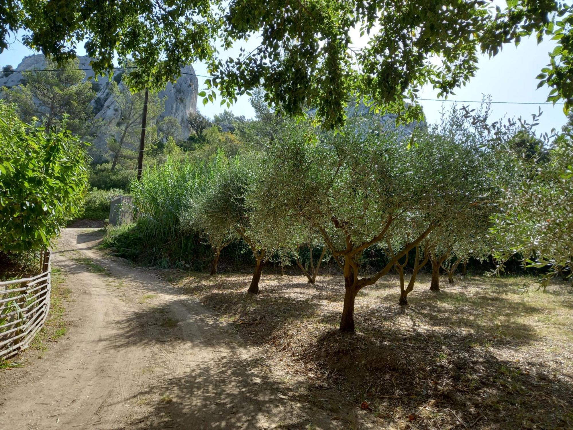 La Roulotte Du Petit Paradis Saint-Rémy-de-Provence Exterior photo
