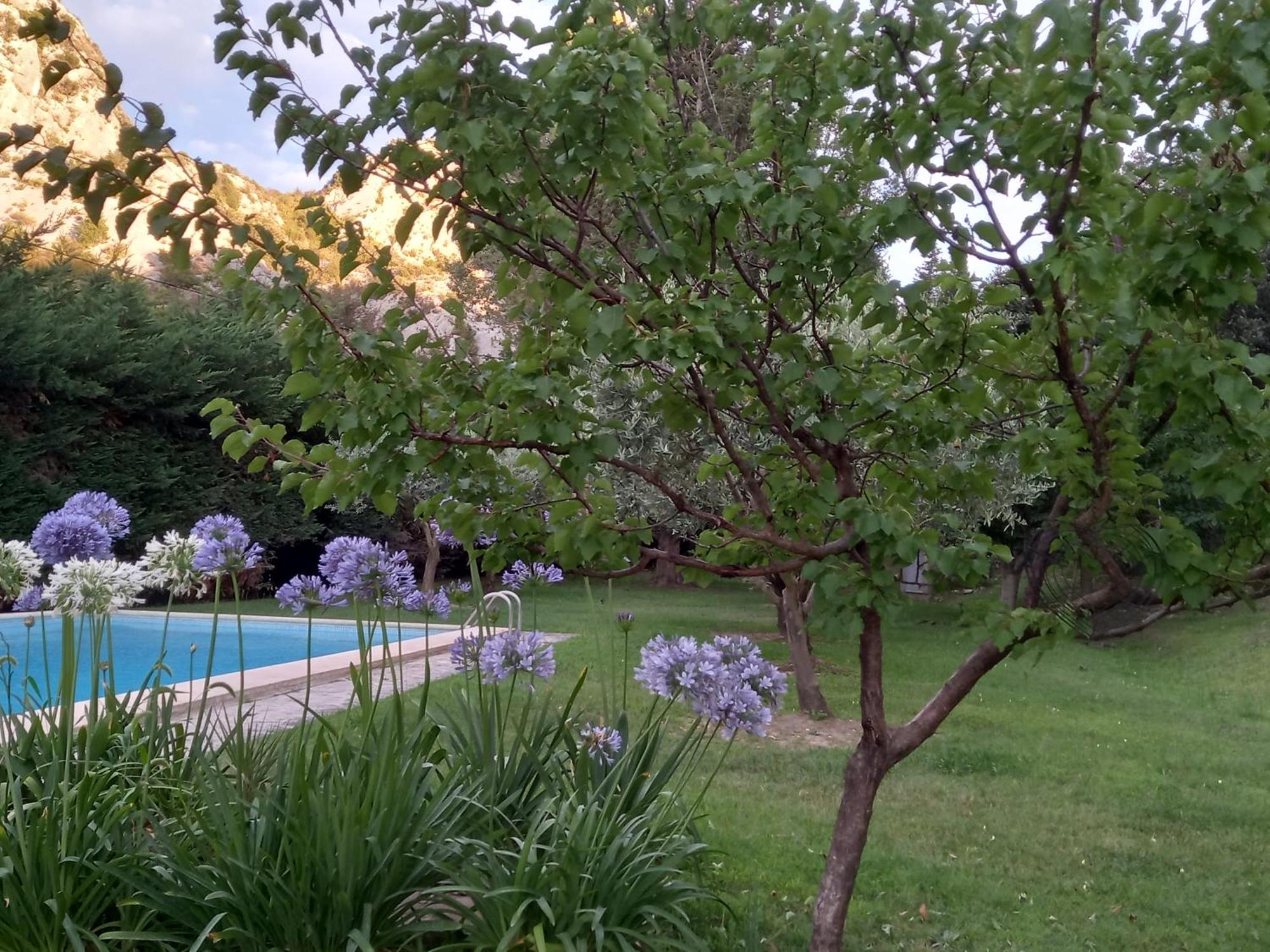 La Roulotte Du Petit Paradis Saint-Rémy-de-Provence Exterior photo